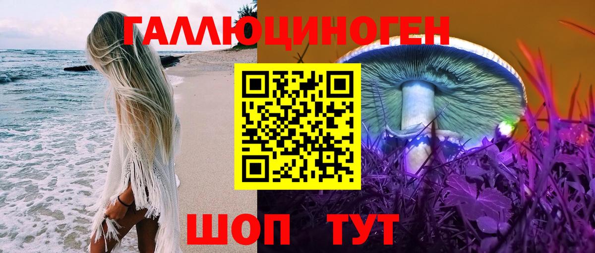 Галлюциногенные грибы Psilocybine cubensis Зеленокумск
